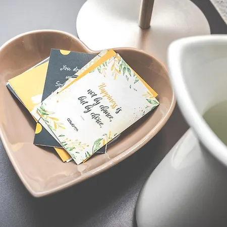 住宿加早餐酒店 德伊廷格尔住宿加早餐旅馆 弗拉绍