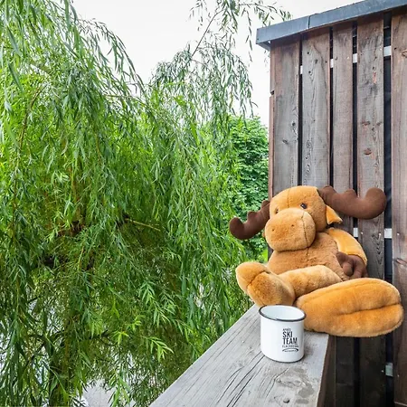 德伊廷格尔住宿加早餐旅馆 弗拉绍